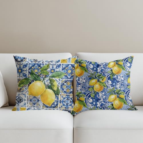 CQM Secret Santa Gifts 2 PCs Italy Lemon Pillow Covers 18x18 Throw Pillow Covers, Lemon Decor Italian Gifts Pillow Cases Decorative Pillow Protectors Living Room Bedroom Home Decor for Cushion Car Bed - Image 3