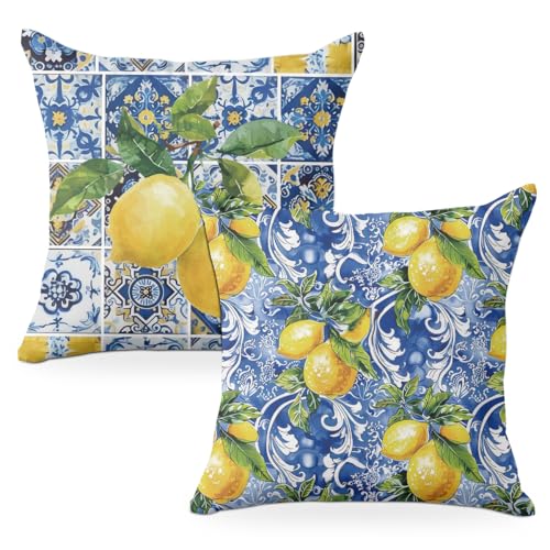CQM Secret Santa Gifts 2 PCs Italy Lemon Pillow Covers 18x18 Throw Pillow Covers, Lemon Decor Italian Gifts Pillow Cases Decorative Pillow Protectors Living Room Bedroom Home Decor for Cushion Car Bed - Image 1