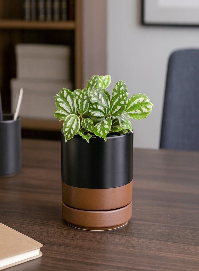 D'vine Dev Set of 4 Small Ceramic Plant Pots, 4.6 Inch Succulent Planter Pot for Plants with Drainage Hole and Saucer, Black/Speckled Tan, 94-F-B-7 - Image 5