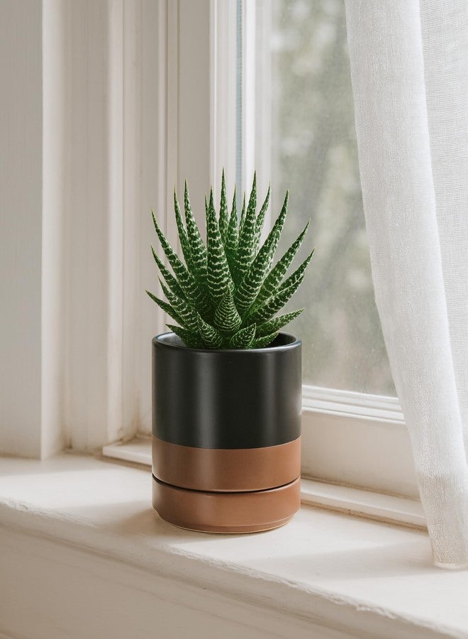 D'vine Dev Set of 4 Small Ceramic Plant Pots, 4.6 Inch Succulent Planter Pot for Plants with Drainage Hole and Saucer, Black/Speckled Tan, 94-F-B-7 - Image 2