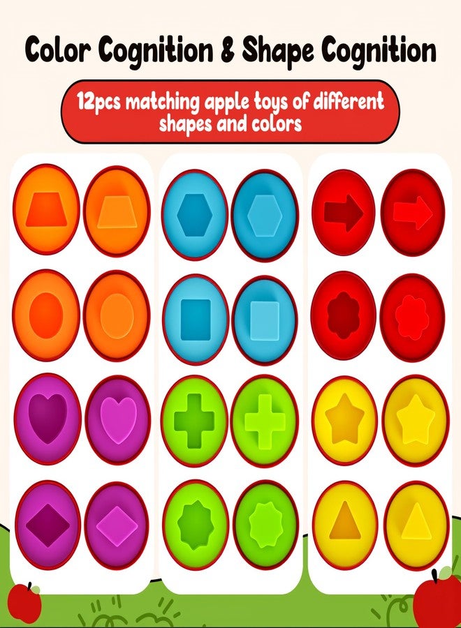 FQKIOMY Montessori Geometric Apple Shape Sorter Toys for Toddlers 1-3,Montessori Preschool Educatioanl Learning Color Sorting Matching Games Fine Motor Toddler Activities Toys for Kids Boys Girls - Image 2
