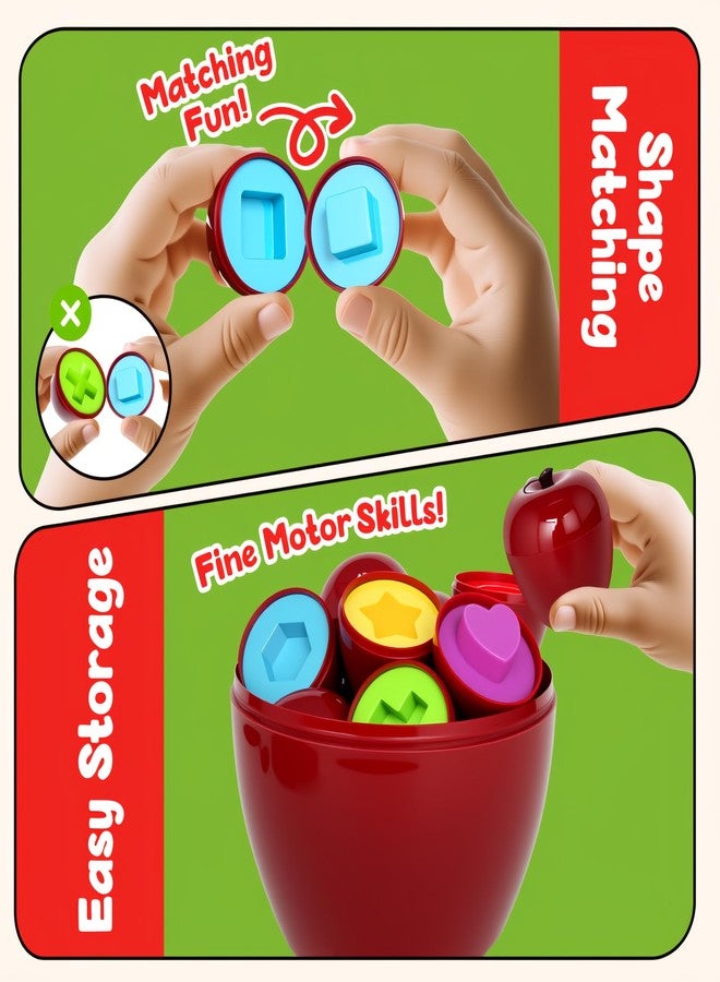 FQKIOMY Montessori Geometric Apple Shape Sorter Toys for Toddlers 1-3,Montessori Preschool Educatioanl Learning Color Sorting Matching Games Fine Motor Toddler Activities Toys for Kids Boys Girls - Image 4