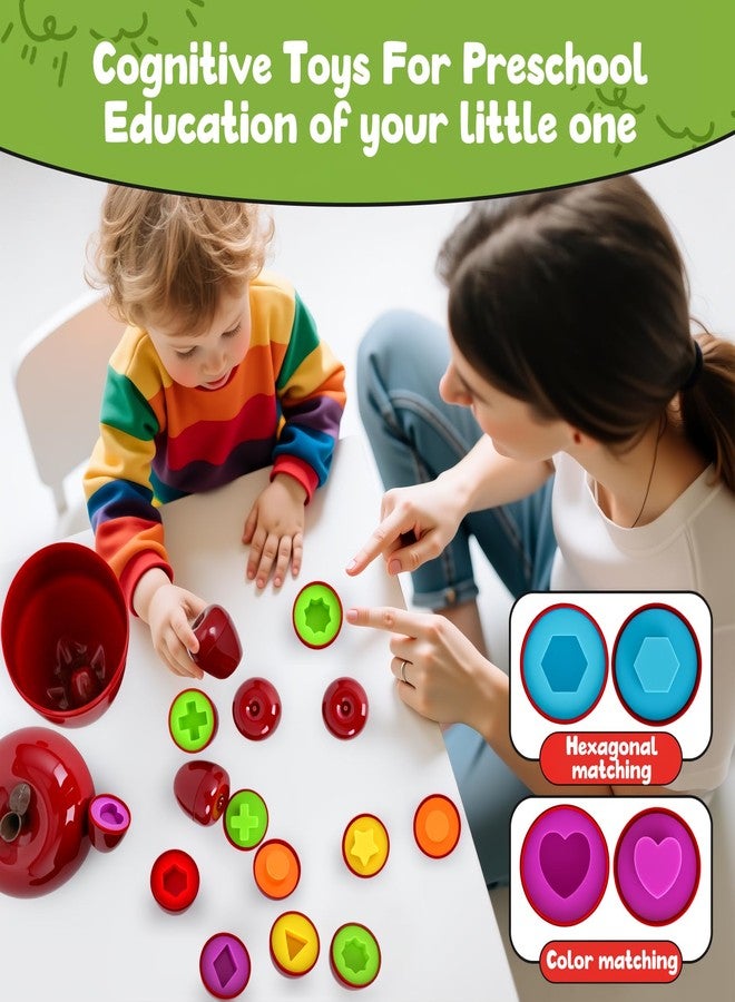 FQKIOMY Montessori Geometric Apple Shape Sorter Toys for Toddlers 1-3,Montessori Preschool Educatioanl Learning Color Sorting Matching Games Fine Motor Toddler Activities Toys for Kids Boys Girls - Image 5