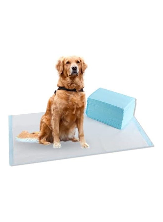 جولدن أروز وسائد فائقة الامتصاص للكلاب مع تقنية قفل الرطوبة المقاومة للتسرب - 90x60 سم 50 قطعه - Image 1