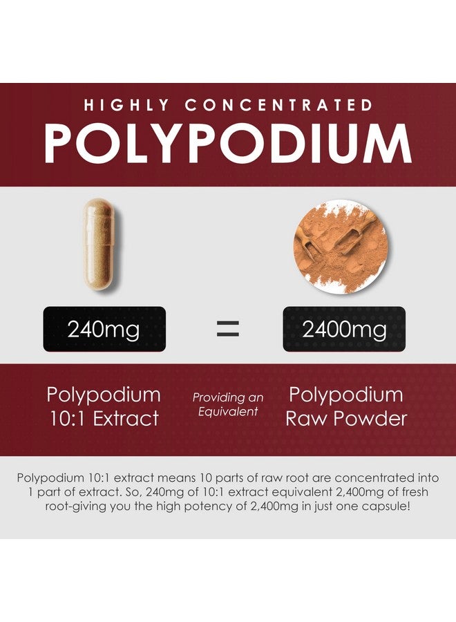 AMALTH Polypodium Leucotomos Extract -Supports Natural Healthy Skin -Antioxidant Supplements -120 Capsules (Gluten Free & Non-GMO) - Image 5