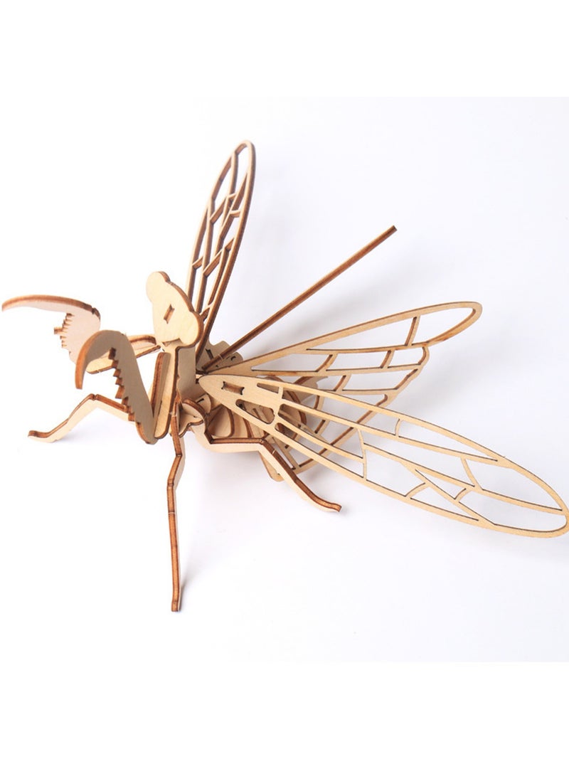 15 سنتيمتر ثلاثية الأبعاد خشبية الحشرات بانوراما السرعوف الحيوان الهيكل العظمي التجمع نموذج بانوراما Crafts بها بنفسك الحرف هدية للأطفال والكبار المراهقين بنين بنات - Image 1