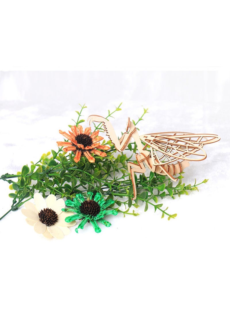 15 سنتيمتر ثلاثية الأبعاد خشبية الحشرات بانوراما السرعوف الحيوان الهيكل العظمي التجمع نموذج بانوراما Crafts بها بنفسك الحرف هدية للأطفال والكبار المراهقين بنين بنات - Image 2