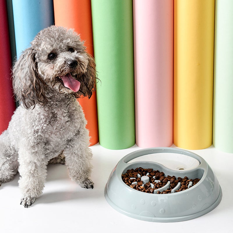 2pcs Slow Feeder Dog Bowl Feeding Dish Non Dog Food Bowl - Image 3