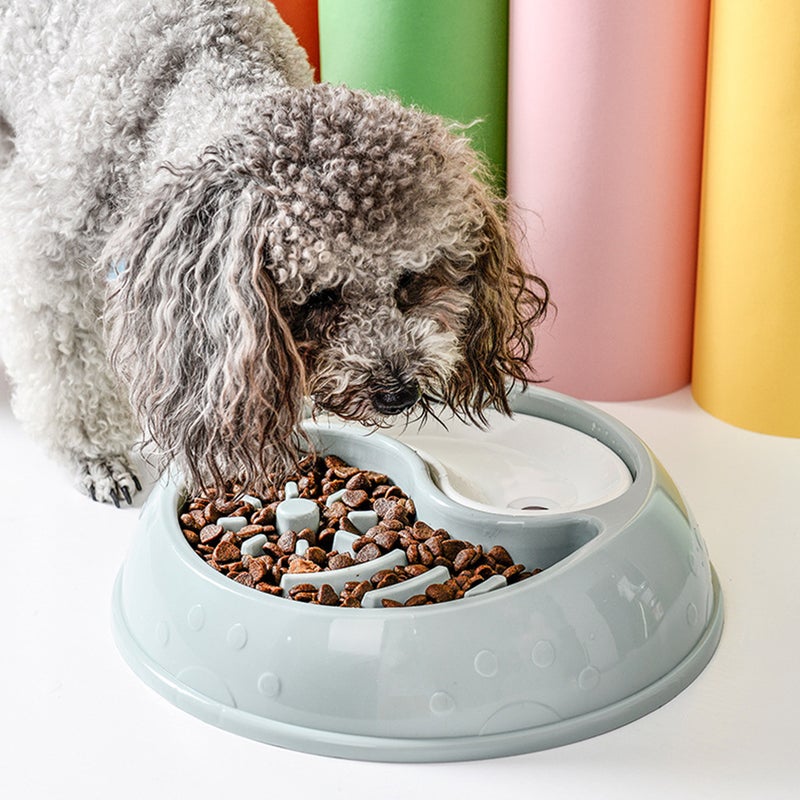 2pcs Slow Feeder Dog Bowl Feeding Dish Non Dog Food Bowl - Image 4