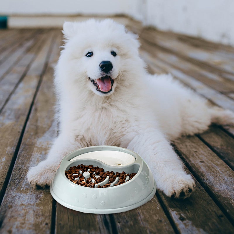 2pcs Slow Feeder Dog Bowl Feeding Dish Non Dog Food Bowl - Image 2