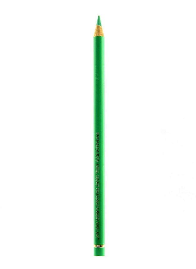 FABER-CASTELL - Polychromos Artists' Single Pencil Colour 162 Light Phthalo Green - Image 1