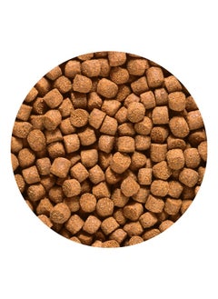 Hikari 12-Ounce Sinking Cichlid Gold Pellets For Pets, Medium  - Image 4
