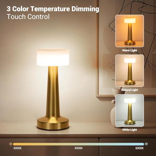 Desidiya Portable LED Table Lamp for Bedroom, Living Room, Stepless Dimming, 3 Colour Touch Control Metallic Finish Rechargeable Battery Backup Night Light, Bedside Table Lamp - Image 2