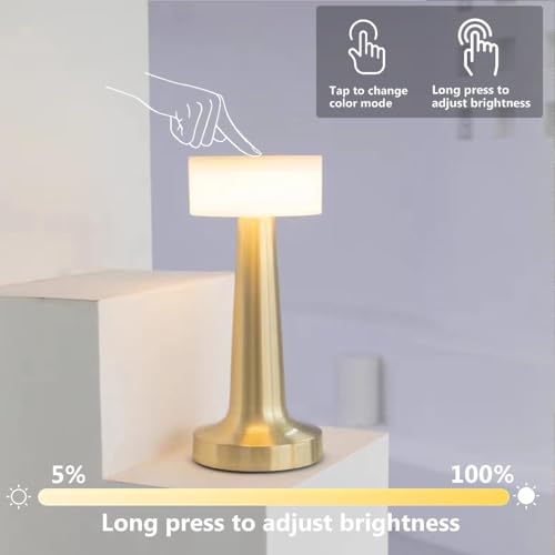 Desidiya Portable LED Table Lamp for Bedroom, Living Room, Stepless Dimming, 3 Colour Touch Control Metallic Finish Rechargeable Battery Backup Night Light, Bedside Table Lamp - Image 5