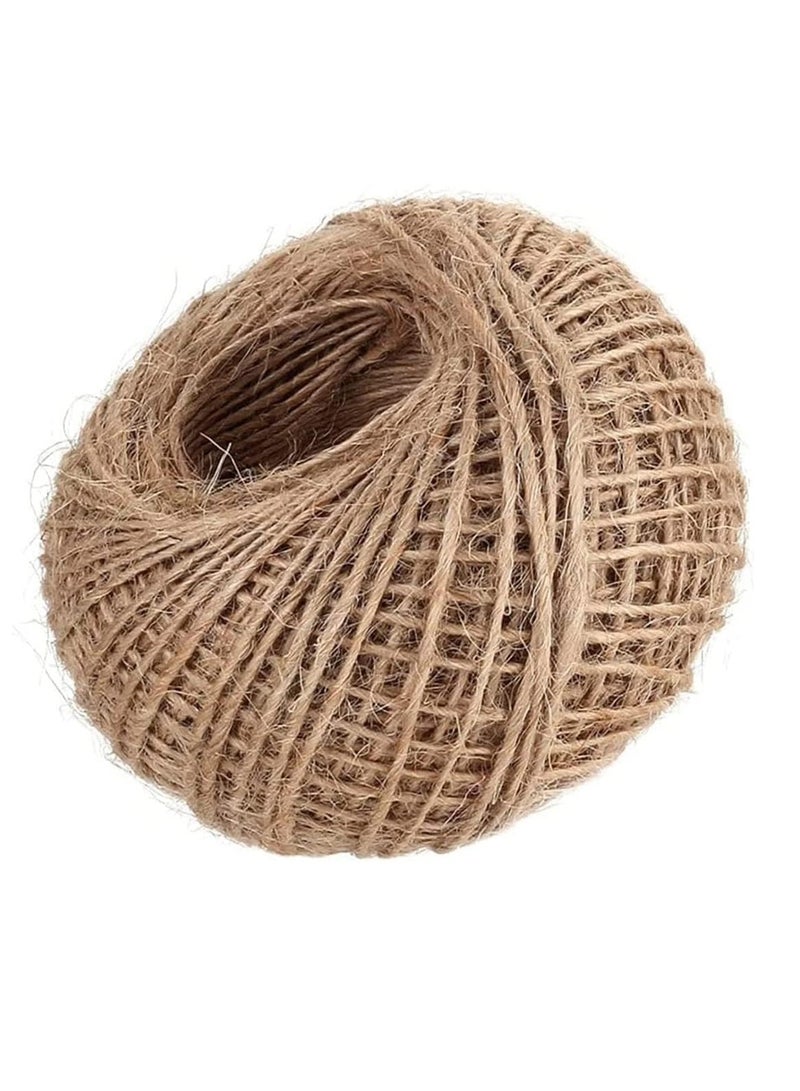 ECVV - Jute Twine String 2mm, 100M Natural Jute Rope, 2Ply Durable Jute Twine Heavy Duty For Crafts, Gift Wrapping, Gardening, Packing, Picture Display, Wedding, Decoration, Ornament - Image 1