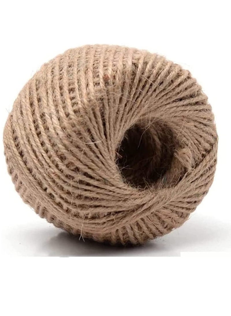 ECVV - Jute Twine String 2mm, 100M Natural Jute Rope, 2Ply Durable Jute Twine Heavy Duty For Crafts, Gift Wrapping, Gardening, Packing, Picture Display, Wedding, Decoration, Ornament - Image 1