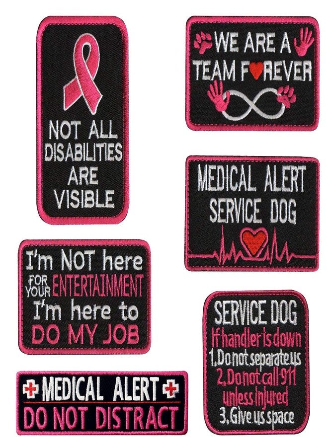 ODSP Service Dog Patch Not All Disabilities are Visible, Do My Job Not for Your Entertainment, Medical Alert, If Handler is Down, We are A Team Forever, Do Not Distract Fastener Hook and Loop Patches - Image 1