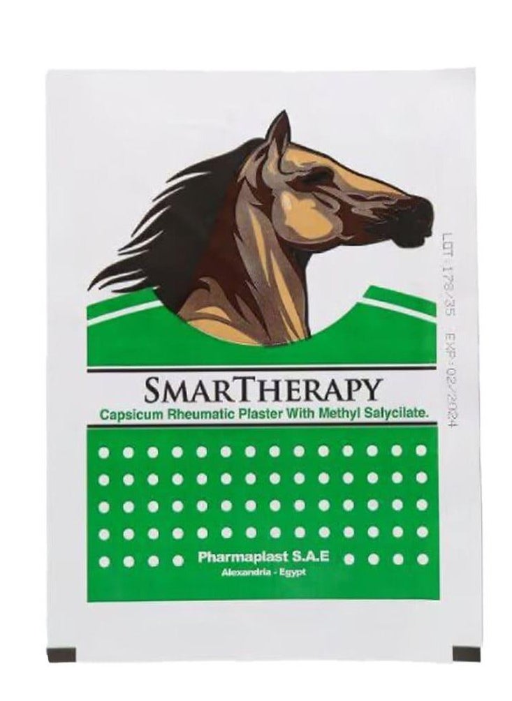 SmarTherapy Capsicum Plaster with Methyl Salycilate- For back, muscles & joints pains - pzsku/ZE519141499B6C7BFEC68Z/45/_/1737980783/775a70fb-cd2f-4fb5-94f8-48dc5629db80