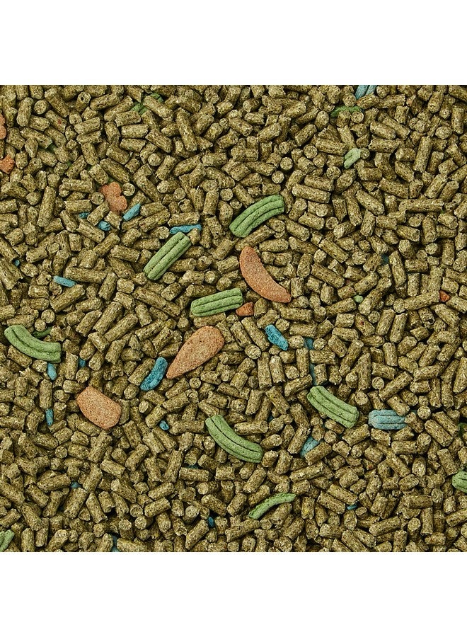 Kaytee Forti-Diet Pro Health Food for Pet Guinea Pigs, 5 Pound - Image 5