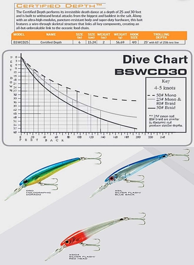 طعم صيد معتمد من BOMBER Lures، مناسب للصيد في المياه المالحة، معدات وإكسسوارات صيد، 6 بوصات، رأس أحمر لامع فضي، (BSWCD25XSI04) - Image 2