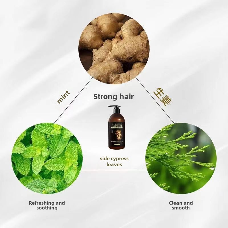 Ginger Shampoo Oil Control Anti-dandruff Fluffy Reduce Hair Loss Solid Hair Old Ginger Wang Shampoo Conditioner(Old Jiang Wang shampoo 500ml) - Image 4