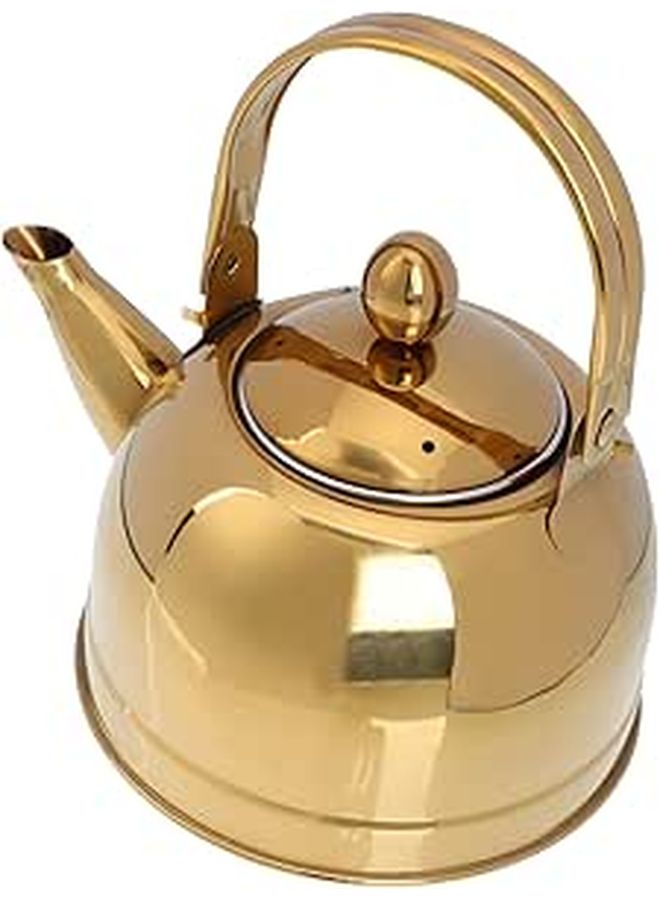 Generic Large Capacity Heat Resistant Filtered Kettle For Tea Brewing ...