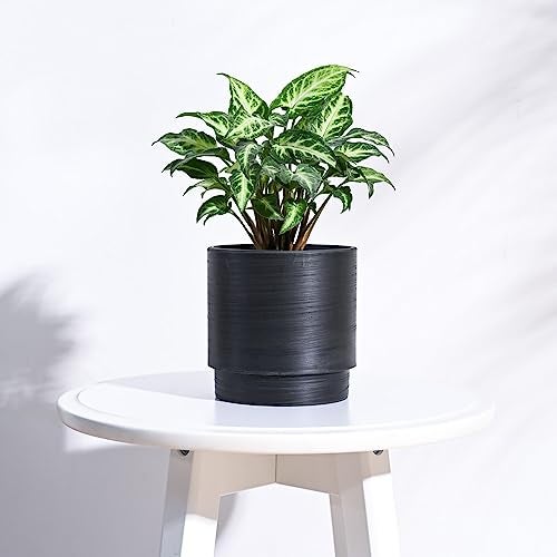UGAOO Rezer Oslo Plastic Flower Pot (Diameter 4.7 Inches, Black) | Durable Planter for Home, Balcony, Garden & Patio | Indoor & Outdoor Use | Stylish Gamla for Living Room & Decor - Image 2