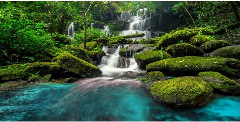AWERT 30x18 inches Waterfall Terrarium Background Tropical Rainforest Aquarium Background Mountain Lake Green Tree Reptile Habitat Background Durable Polyester Background - Image 1