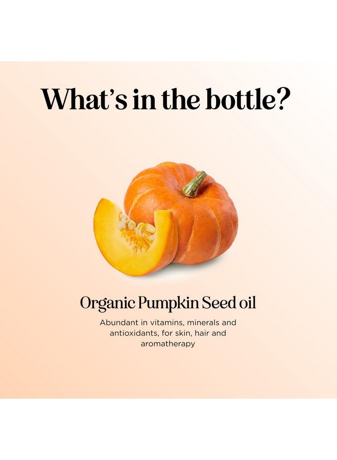 مايبل هوليستكس زيت بذور اليقطين العضوي المعتمد من وزارة الزراعة الأمريكية - زيت بذور اليقطين النقي 100% لنمو الشعر والبشرة الجافة ومضاد للشيخوخة - زيت شعر عضوي للشعر الجاف والتالف ونمو الشعر - بكر معصور على البارد وغير مكرر (4 أونصة) - Image 4