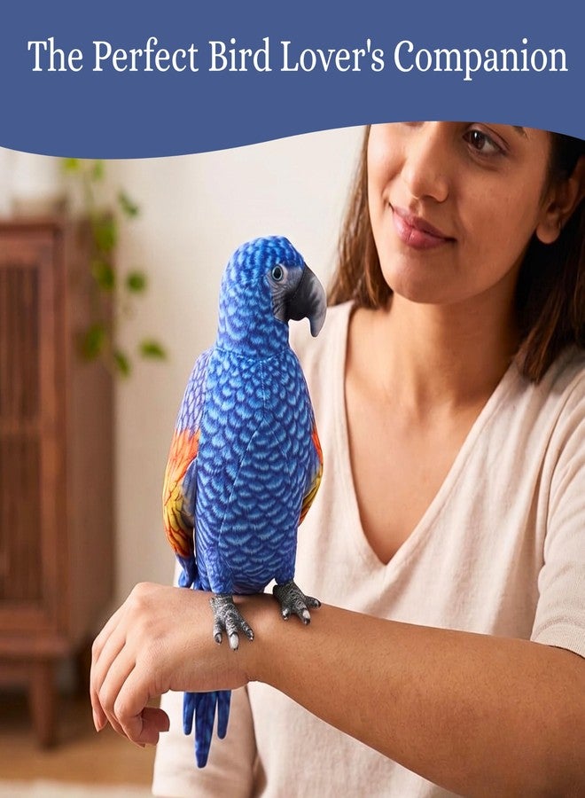Tickles Cute Parrot Soft Stuffed Plush Bird Toy for Kids Boys & Girls Birthday Gifts (Size: 20 cm Color: Blue & Orange) - Image 4