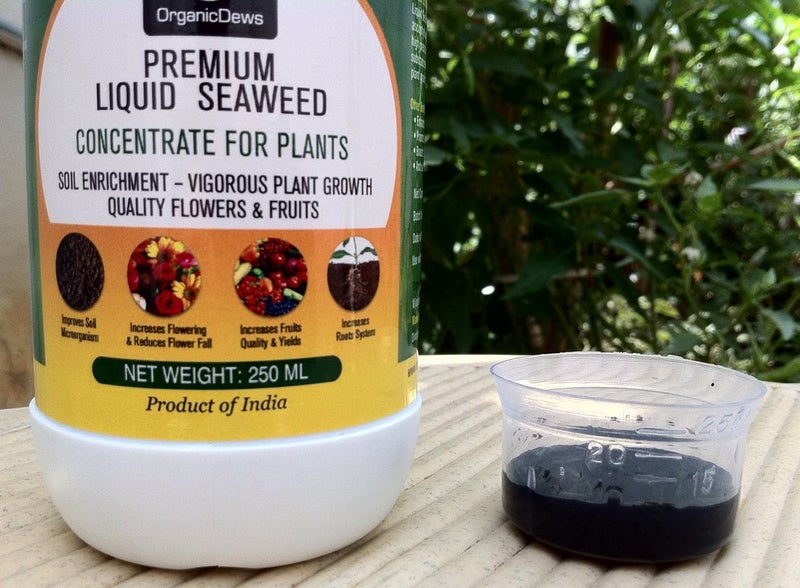 OrganicDews Liquid Seaweed Concentrate for Plants 250 ml with Measuring Cup 25 ml Fertilizer for All Indoor and Outdoor Plants - Image 2