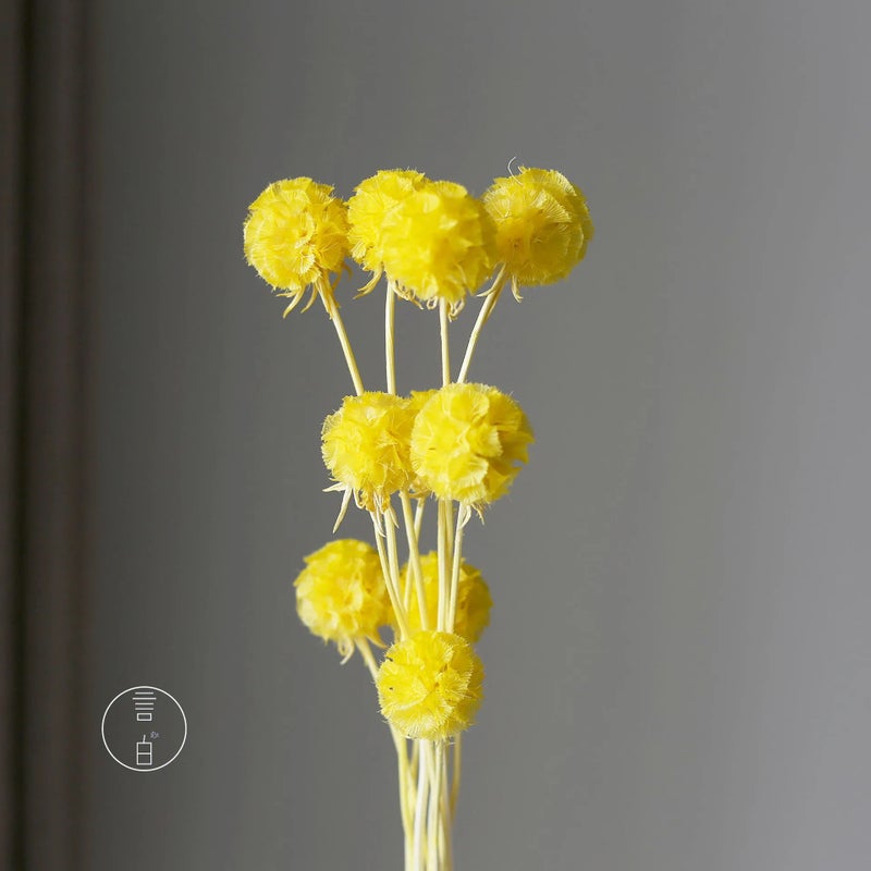 Bluejw Dried Flower Arrangement for Home & Office Decor – Natural Dried Plants Bunch with Leaf Accents, Perfect for Wedding Bridal Bouquet, Party Decoration, and Household Floral Display - Image 1