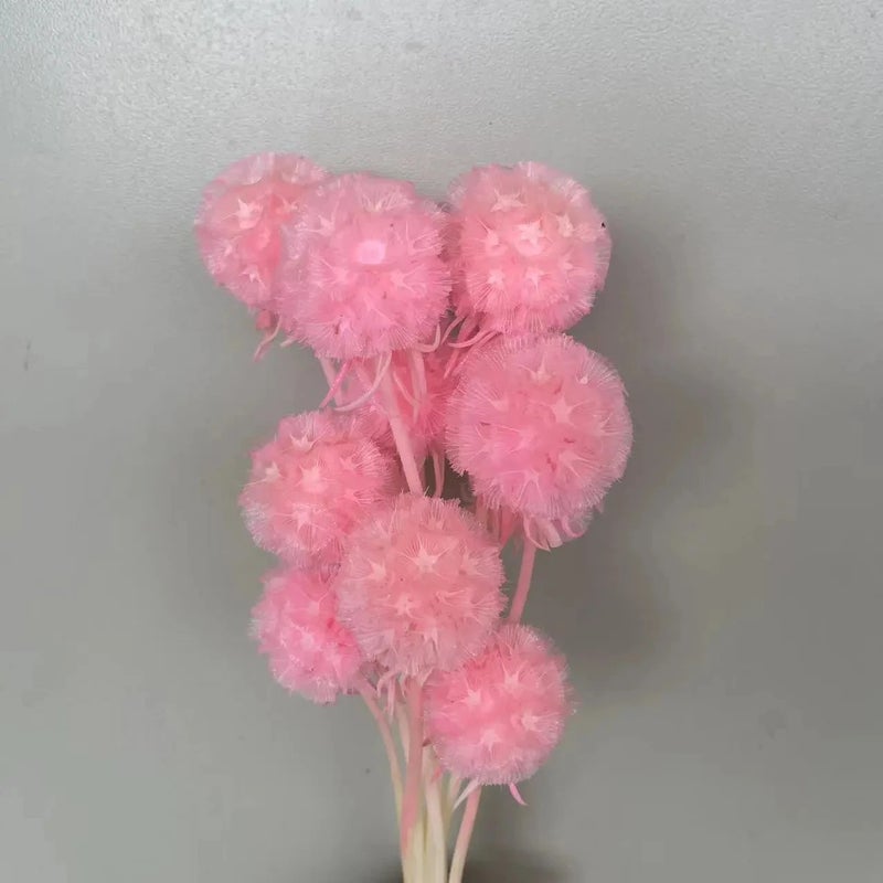 Bluejw Dried Flower Arrangement for Home & Office Decor – Natural Dried Plants Bunch with Leaf Accents, Perfect for Wedding Bridal Bouquet, Party Decoration, and Household Floral Display - Image 5