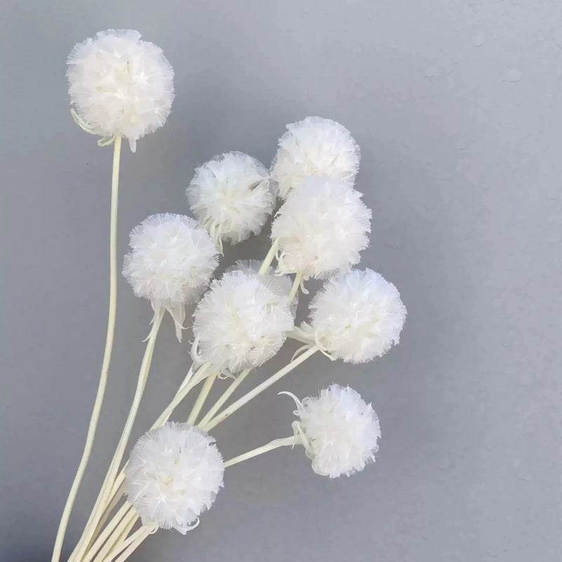 Bluejw Dried Flower Arrangement for Home & Office Decor – Natural Dried Plants Bunch with Leaf Accents, Perfect for Wedding Bridal Bouquet, Party Decoration, and Household Floral Display - Image 3