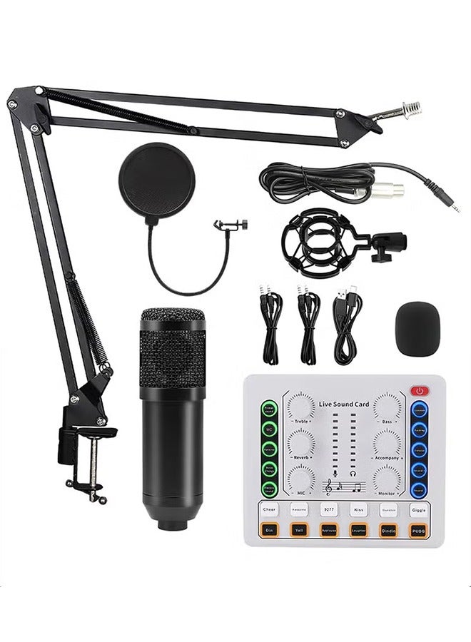 Sound Card Microphone Podcast Package,Streaming Audio Mixer with Microphone Stand/Suitable for Live Broadcast/Podcast/Youtube/PC/Smartphone