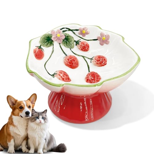 FALESHOS Ceramic Strawberry Elevated Cat Bowls Tilted Raised Pet Dish for Anti Vomit Spine Protection Whisker Friendly Excellent Raised Food and Water Bowl for Indoor Cats FlatFaced Cats Red - Image 1