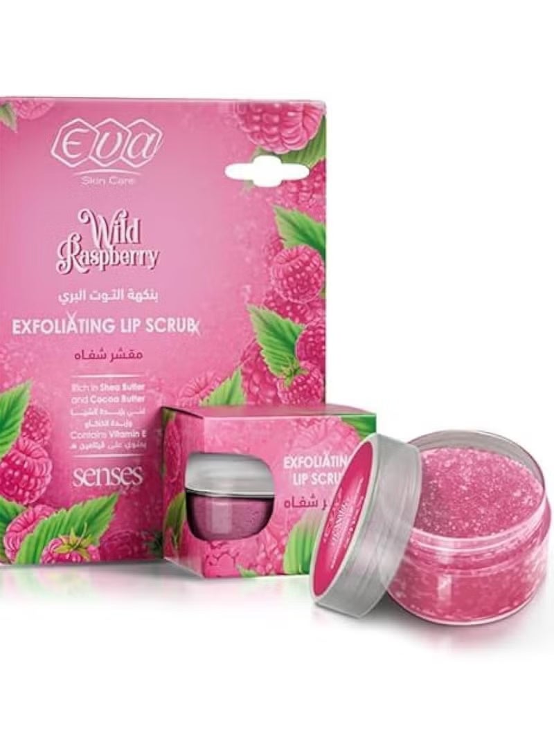 إيفا سكين كير مقشر الشفاه بالتوت البري 20 جرام