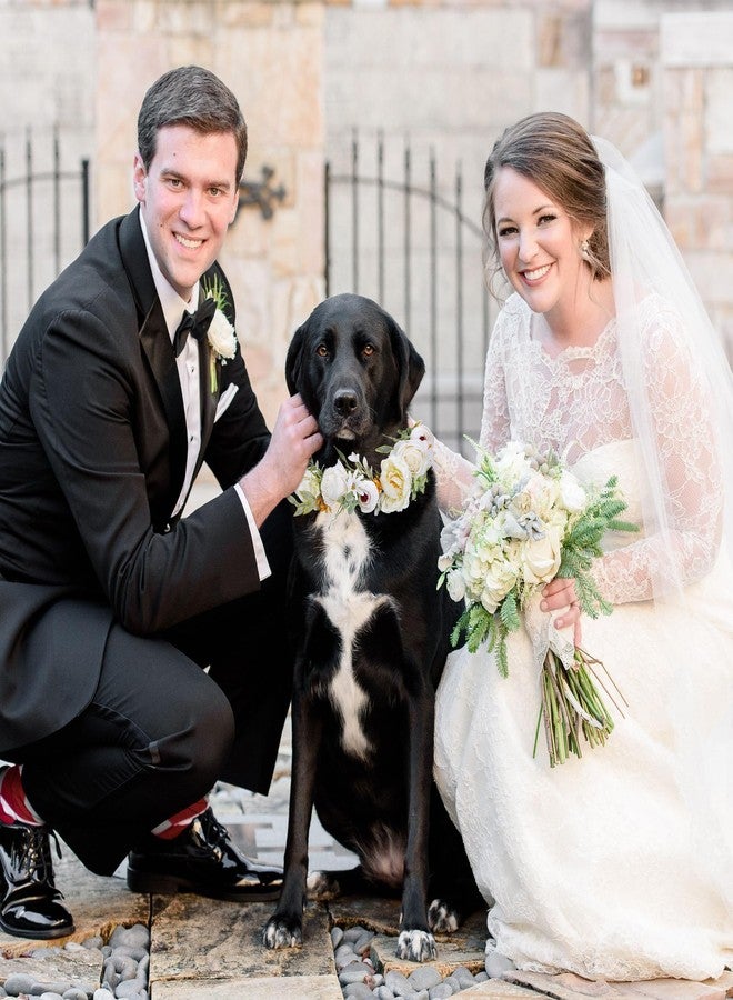 Mogoko 2 Pcs Dog Wedding Set, Flower Collar & Pearls Beaded Leash, Floral Dog Headband, Wreath Bow, Photo Prop (Medium) - Image 5