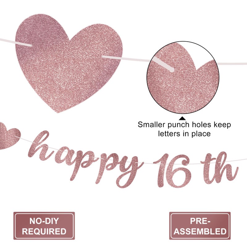 Eucutur Pink Rose Gold Sweet 16 Party Decorations for Girls Women, Pre-Strung Giltter Awesome Since 2010 16th Birthday Banner Party Supplies, Sixteen Years Old Hanging Banner Photo Props Decor Sign - Image 3