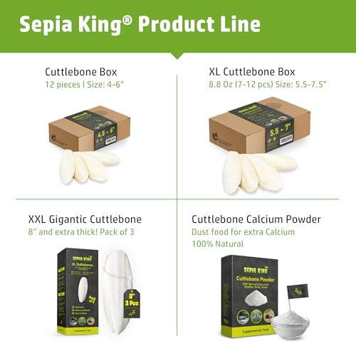 Sepia King - Medium - 100% Natural Calcium Supplement - Premium Cuttlebone Perfect for Birds, Tortoises, Snails, Reptiles - 12 Pack - Image 5