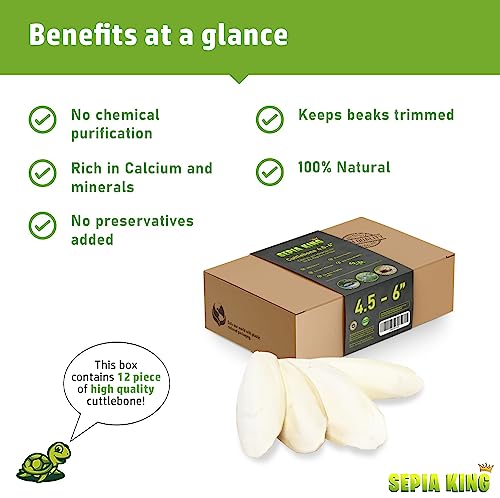 Sepia King - Medium - 100% Natural Calcium Supplement - Premium Cuttlebone Perfect for Birds, Tortoises, Snails, Reptiles - 12 Pack - Image 4