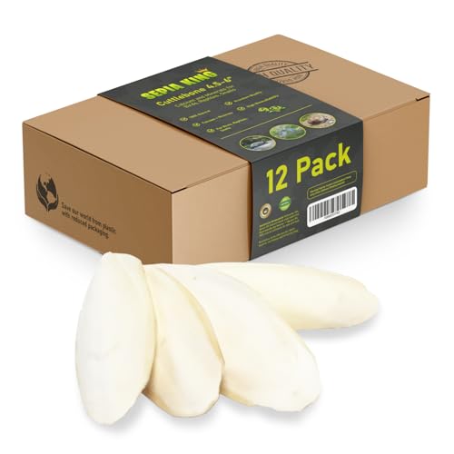 Sepia King - Medium - 100% Natural Calcium Supplement - Premium Cuttlebone Perfect for Birds, Tortoises, Snails, Reptiles - 12 Pack - Image 1