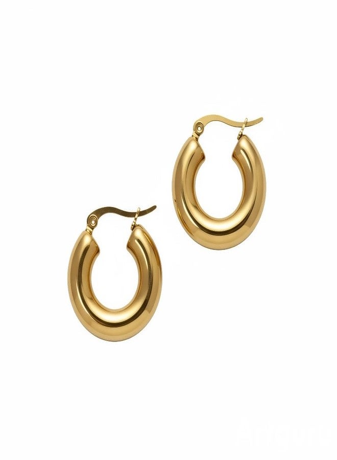 SHAHEEBA 18K Gold Plated Chunky Hoop Earrings for Women & Girls | 304 Stainless Steel, Electroplated, Waterproof & Non-Tarnish | Minimalistic IG-Style Everyday Hoops | Lightweight, Earrings for Gifting and Daily & Holiday Wear - Image 1