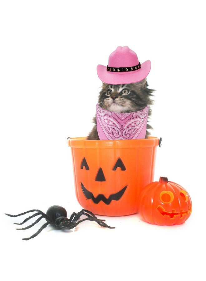 PEUTIER Pet Cowboy Costume, Dog Cowboy Costume Dog Cowboy Hat & Dog Bandana Scarf Dog Halloween Costumes Outfit Accessories for Small Cats Dogs Pets (Pink)  - Image 3
