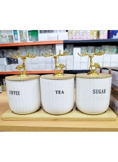 Generic Multi-purpose  jar set – perfect for storing spices like salt, pepper, chili, or dry items like tea, coffee, and sugar.  - Image 2