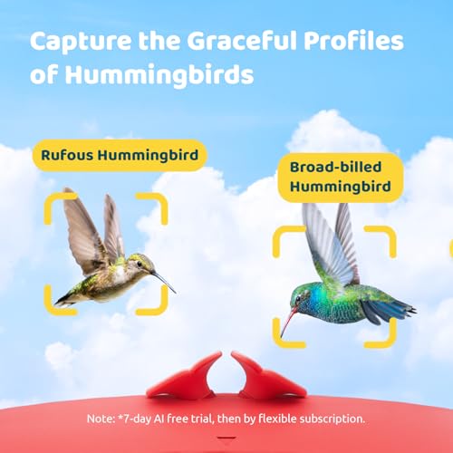 Birdfy Hummingbird Feeder with Camera Smart Bird Feeder for Garden Outdoors for Record Ideal for Hummingbird Watching SE Lite - Image 3