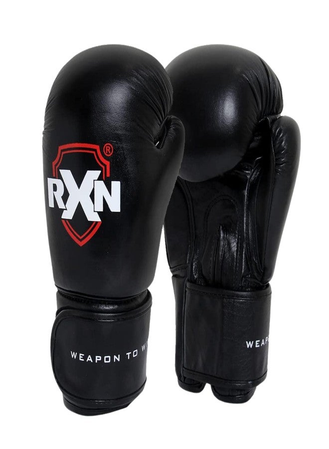 RXN Boxing Competition Training Gloves for Bags & Training (10oz) - Image 1