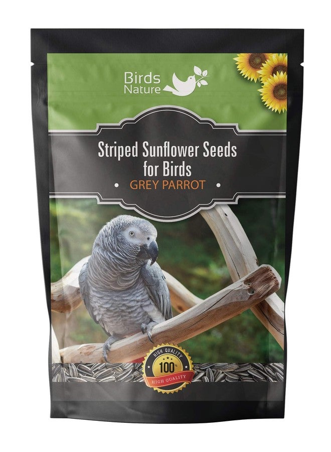 BirdsNature بذور دوار الشمس المستوردة من بيردز ناتشر، كبيرة الحجم، للببغاء الرمادي الأفريقي والطيور الغريبة (2500 غرام) - Image 1