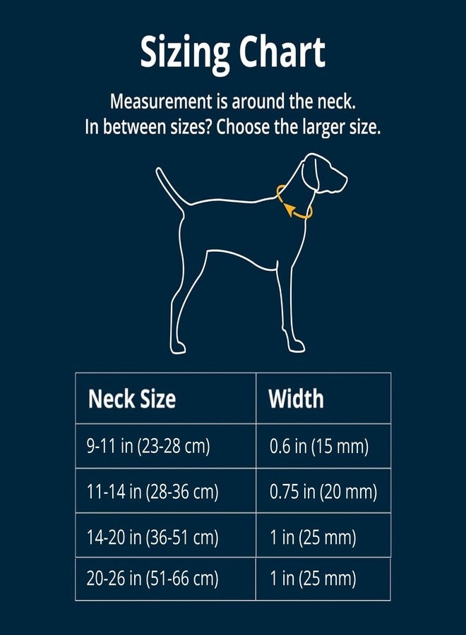 Ruffwear, Hi & Light Dog Collar, Ultralight Quick Release Buckle, Adjustable Trail Running Polyester Collar with Silent ID Attachment, Sage Green, 11"-14" - Image 2