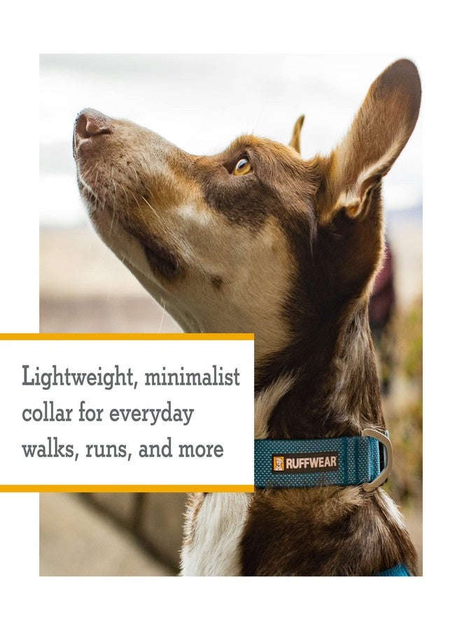 Ruffwear, Hi & Light Dog Collar, Ultralight Quick Release Buckle, Adjustable Trail Running Polyester Collar with Silent ID Attachment, Sage Green, 11"-14" - Image 3